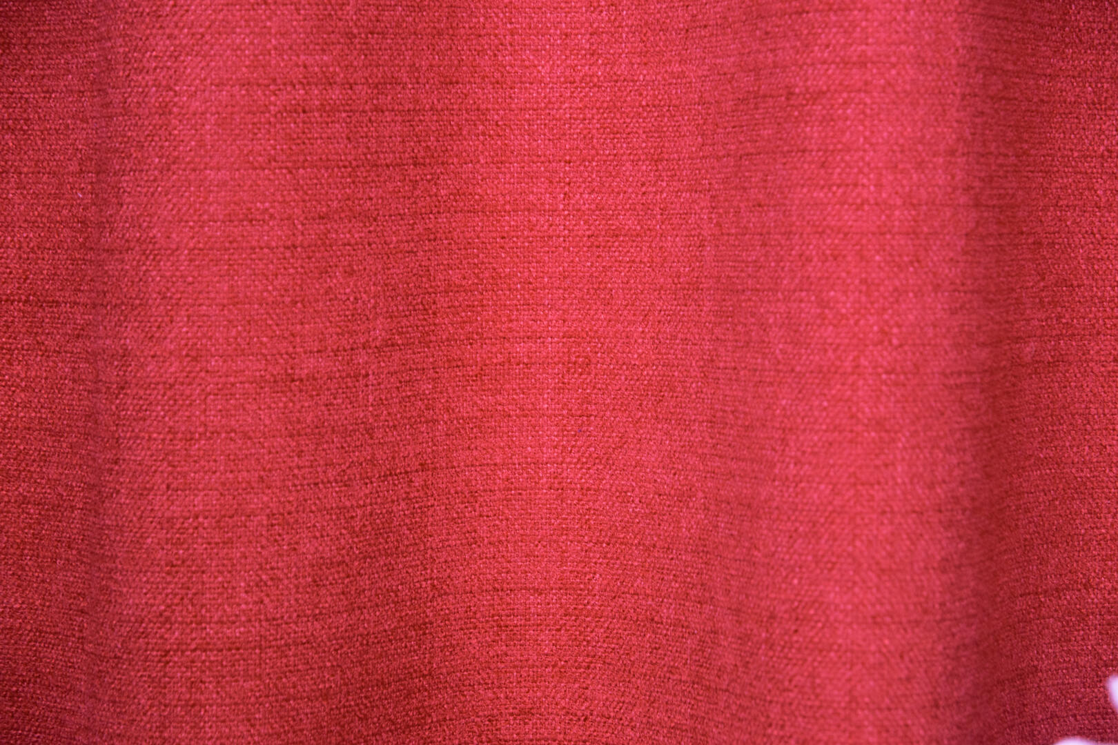 Zenith Red Ribbon Zenith royal red